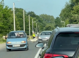 Łabędzia rodzina w poszukiwaniu dogodnego akwenu.