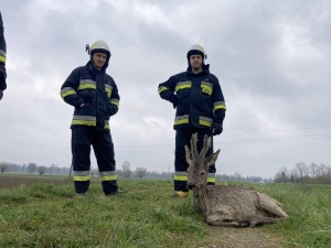 Dziś poranek w Bronowie Czechowice-Dziedzice.