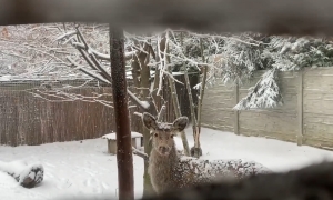 Zima w Ośrodku ❄️